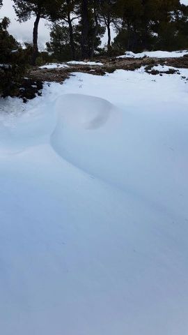 Nevada en Totana - 18 de enero de 2017 - 459